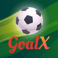 Play for Fun goal x